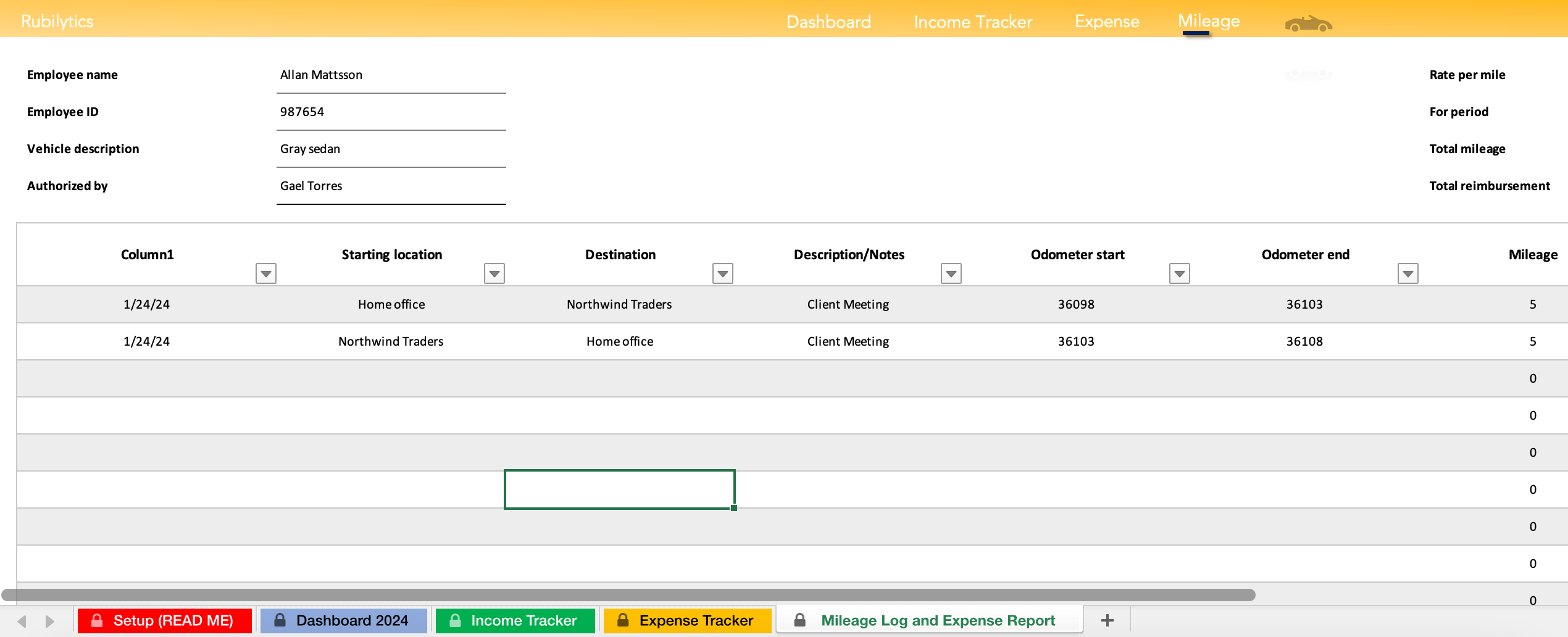 Rubilytics Income & Expense Tracker - 2024 Lite Version